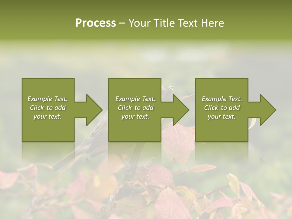 Nature Garden Botanic PowerPoint Template