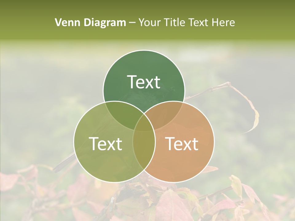 Nature Garden Botanic PowerPoint Template