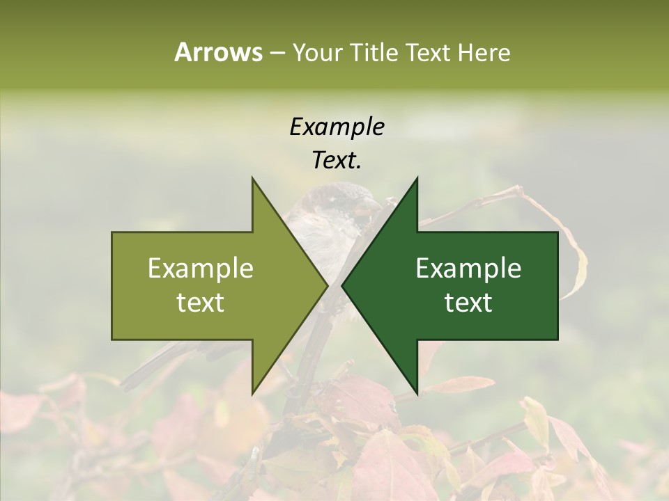Nature Garden Botanic PowerPoint Template
