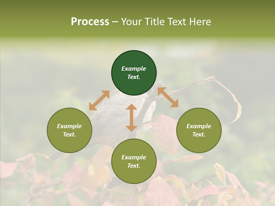Nature Garden Botanic PowerPoint Template