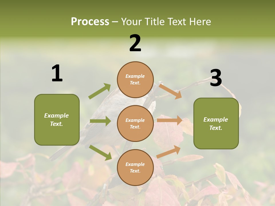 Nature Garden Botanic PowerPoint Template