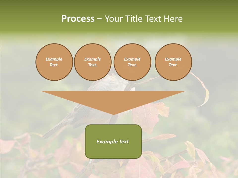 Nature Garden Botanic PowerPoint Template