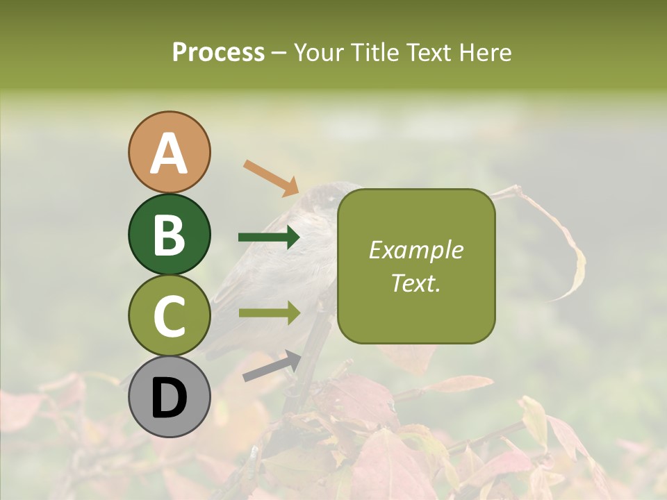 Nature Garden Botanic PowerPoint Template