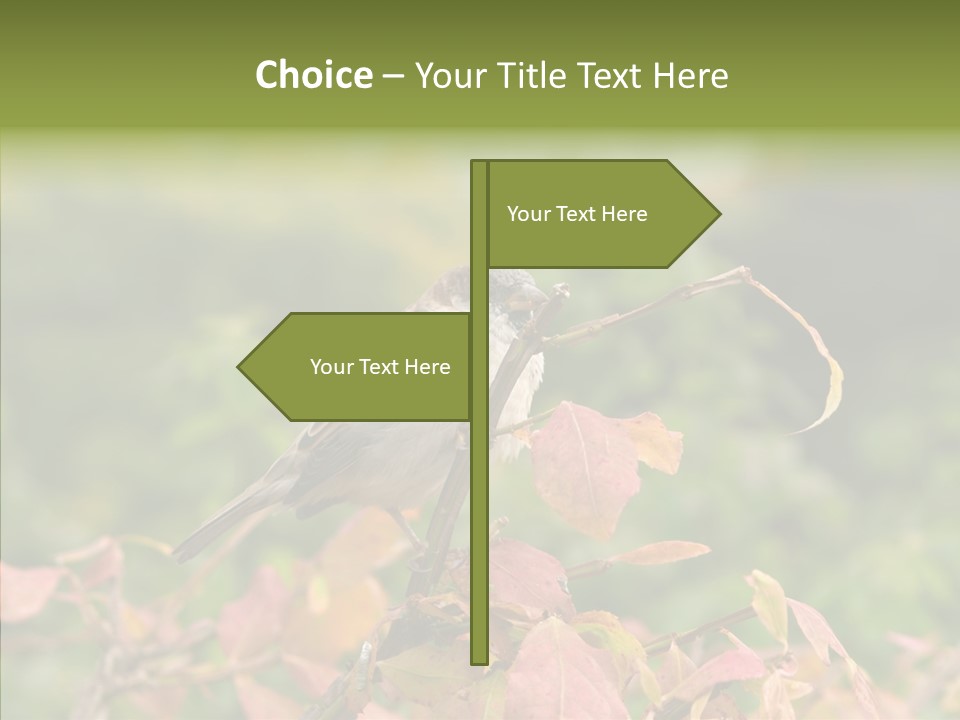 Nature Garden Botanic PowerPoint Template