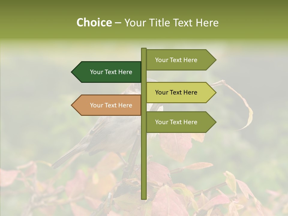 Nature Garden Botanic PowerPoint Template