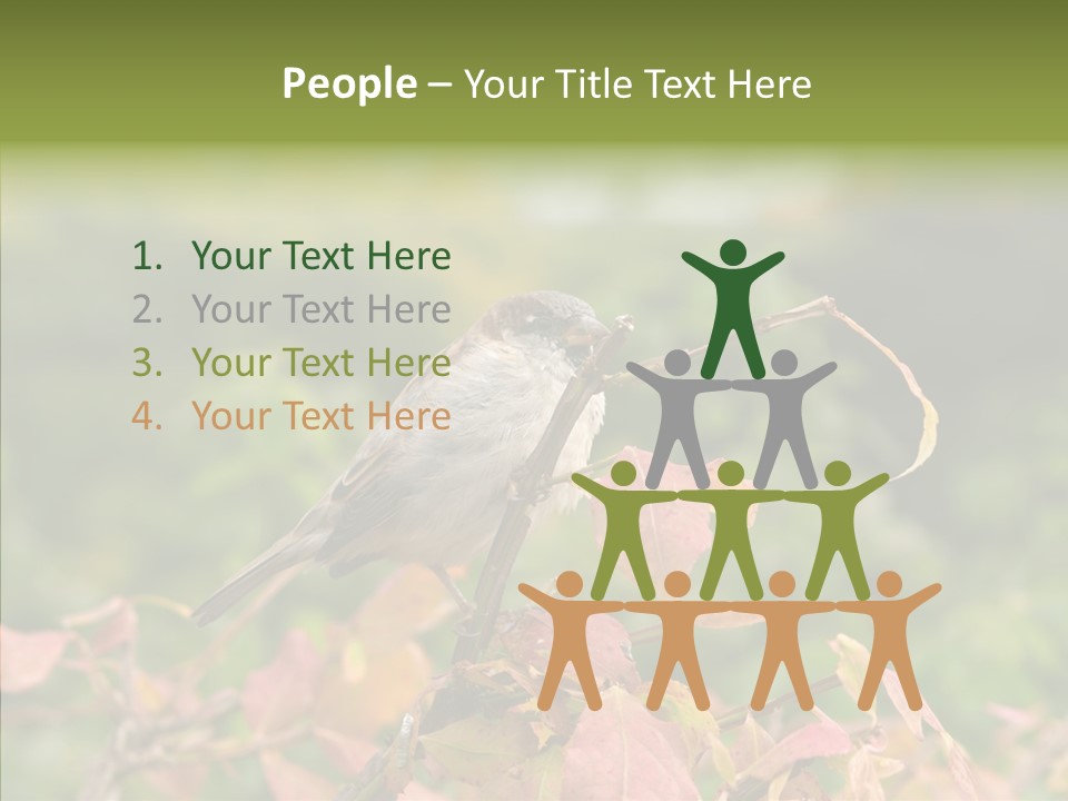 Nature Garden Botanic PowerPoint Template