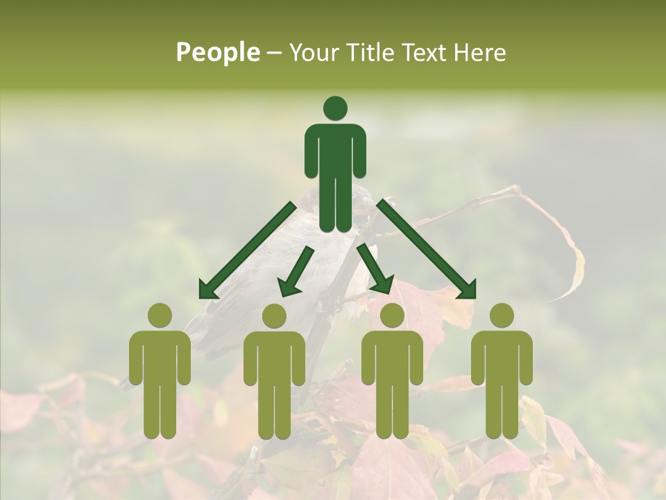 Nature Garden Botanic PowerPoint Template