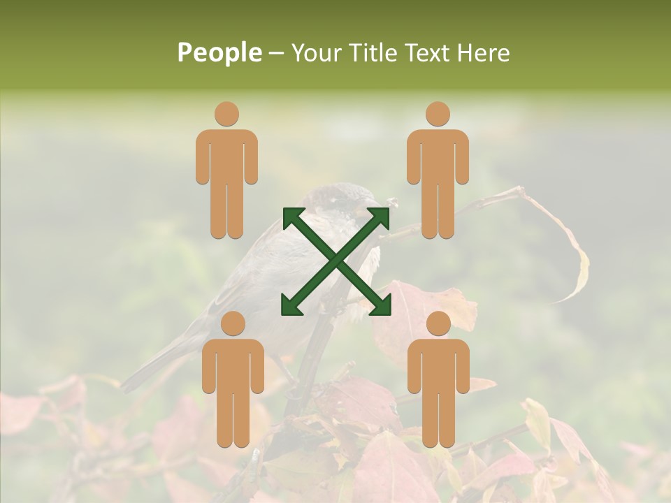 Nature Garden Botanic PowerPoint Template