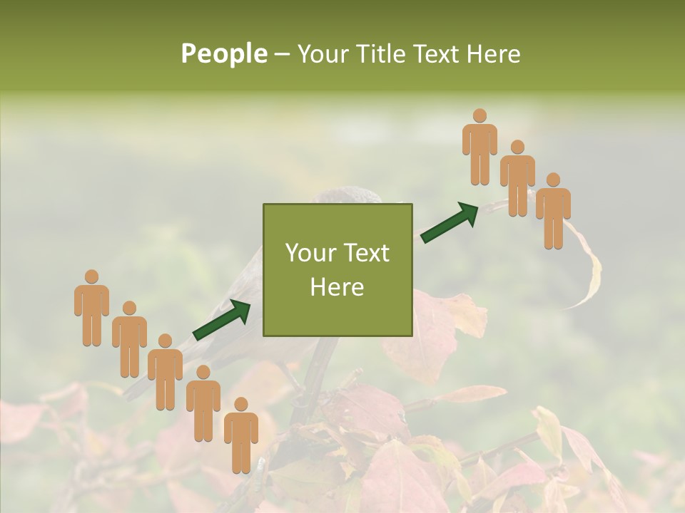 Nature Garden Botanic PowerPoint Template