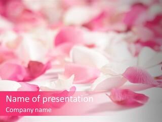 Flower Femininity Soft PowerPoint Template