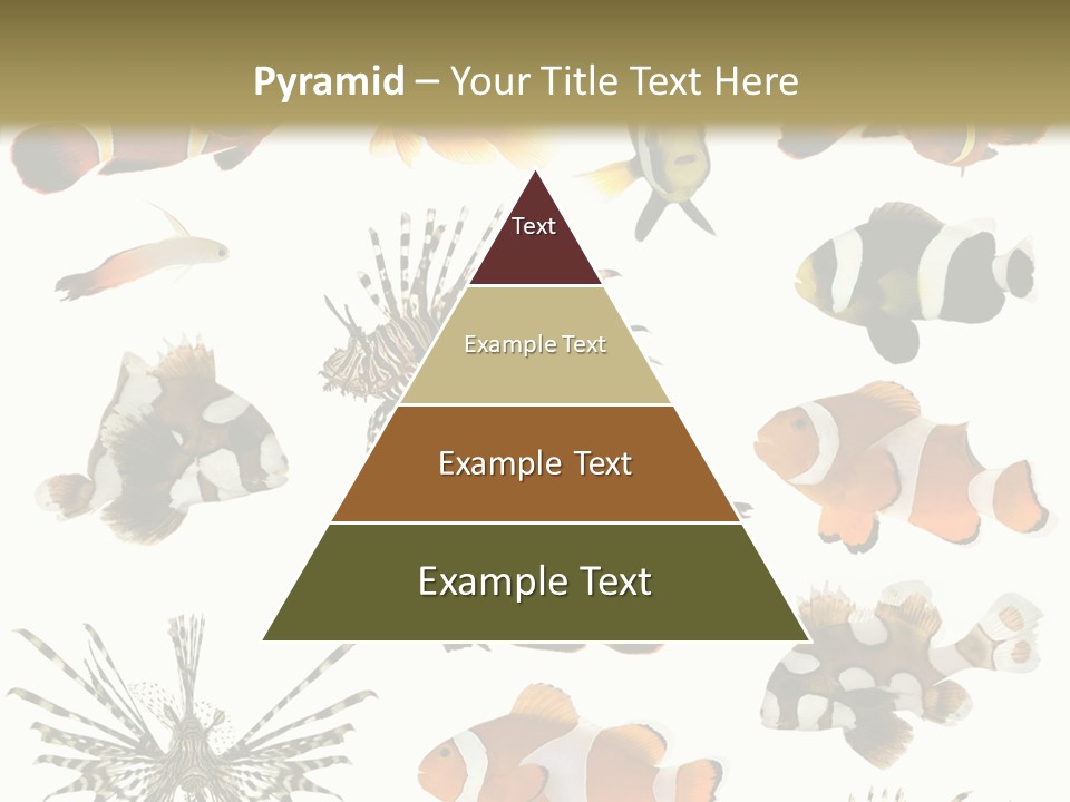 Studio Aquatic Dive PowerPoint Template