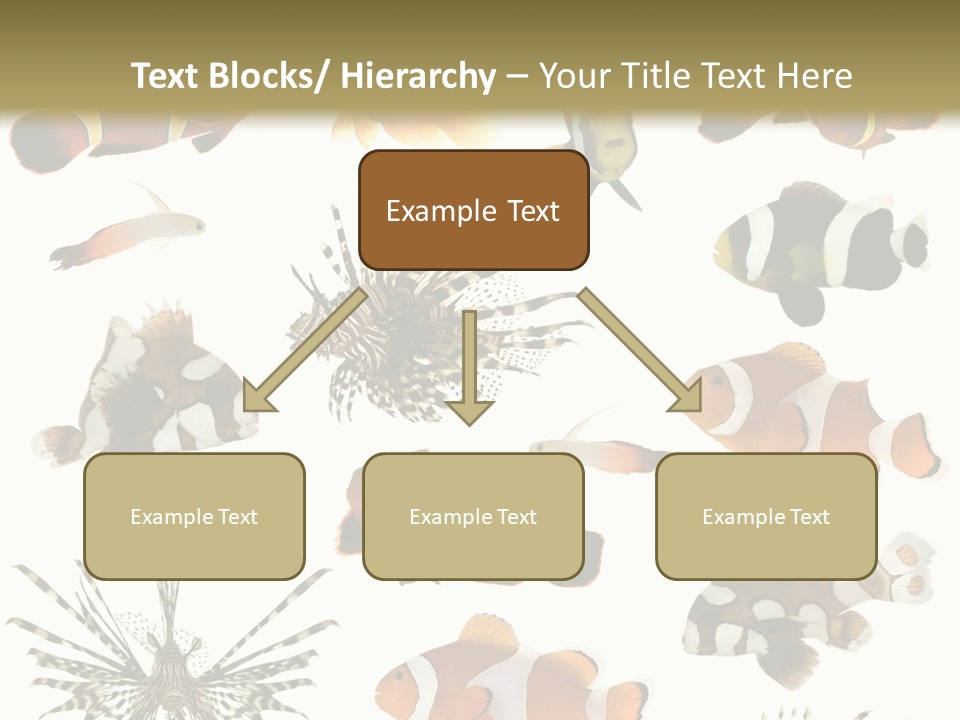 Studio Aquatic Dive PowerPoint Template