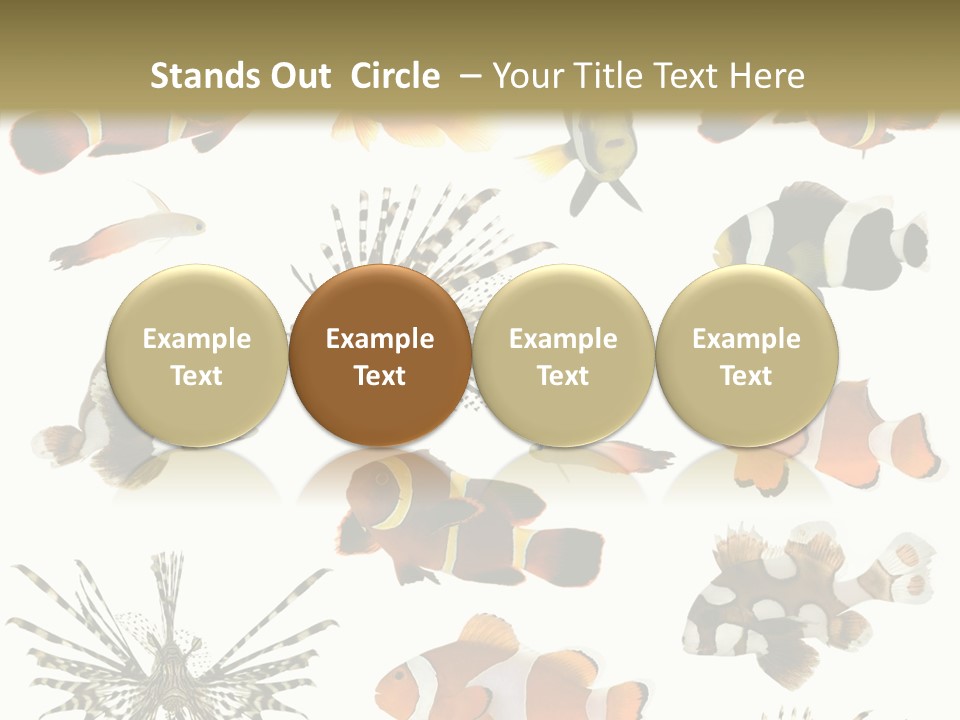 Studio Aquatic Dive PowerPoint Template