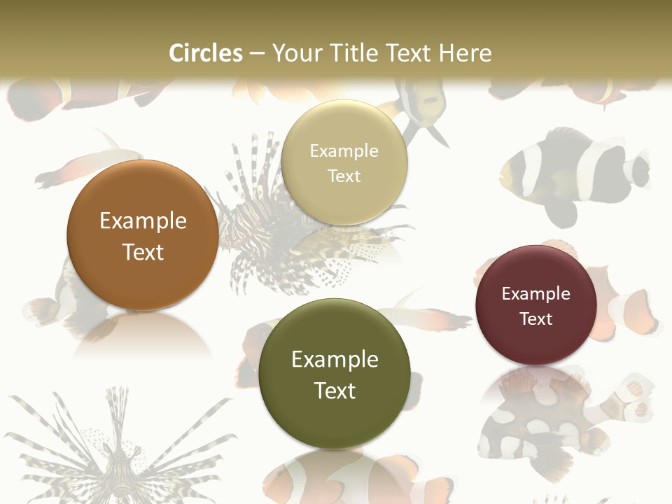 Studio Aquatic Dive PowerPoint Template