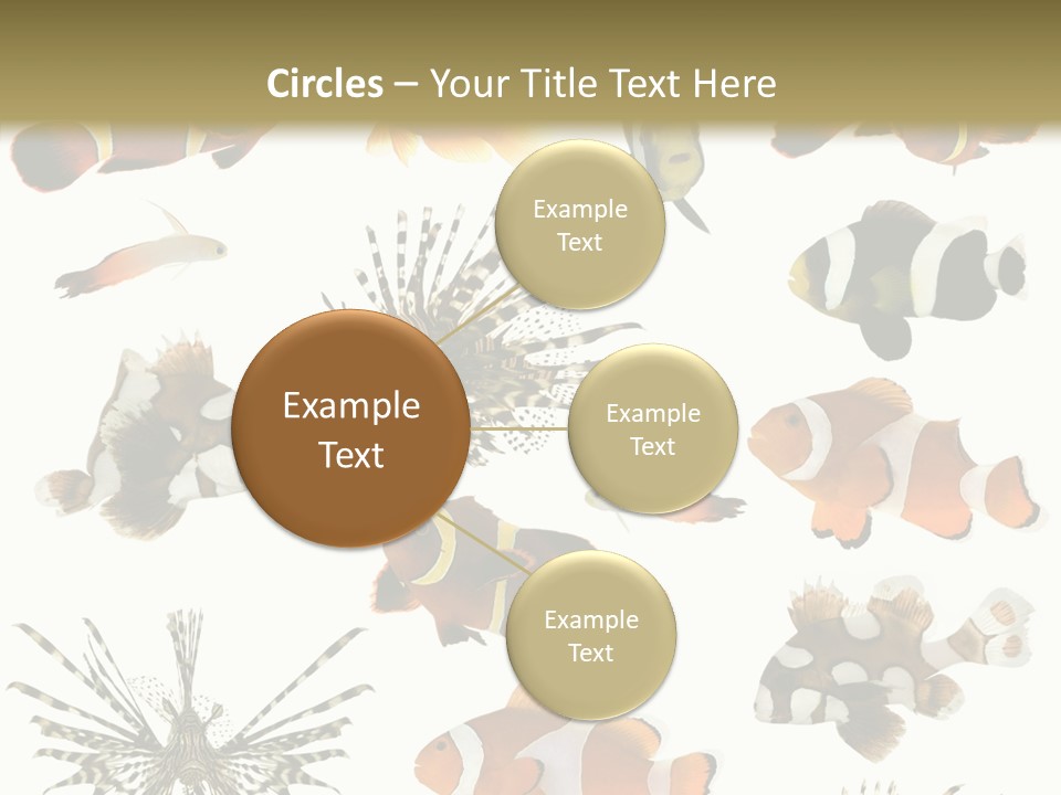 Studio Aquatic Dive PowerPoint Template