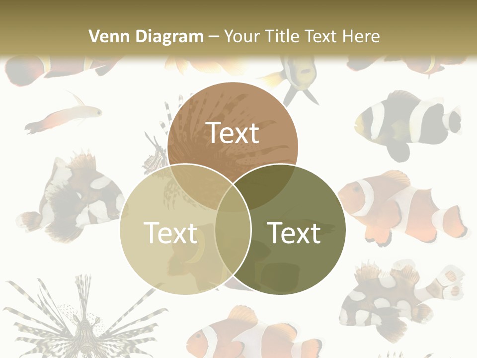 Studio Aquatic Dive PowerPoint Template