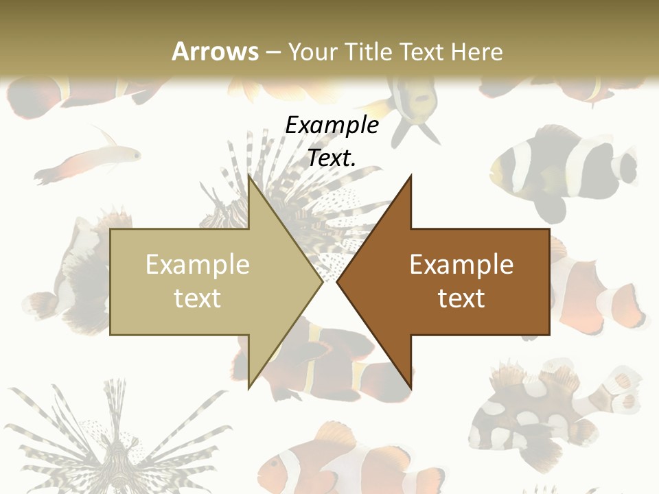 Studio Aquatic Dive PowerPoint Template