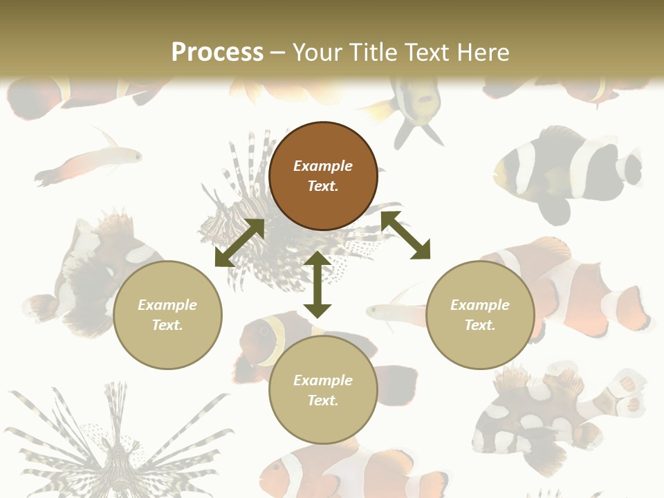 Studio Aquatic Dive PowerPoint Template