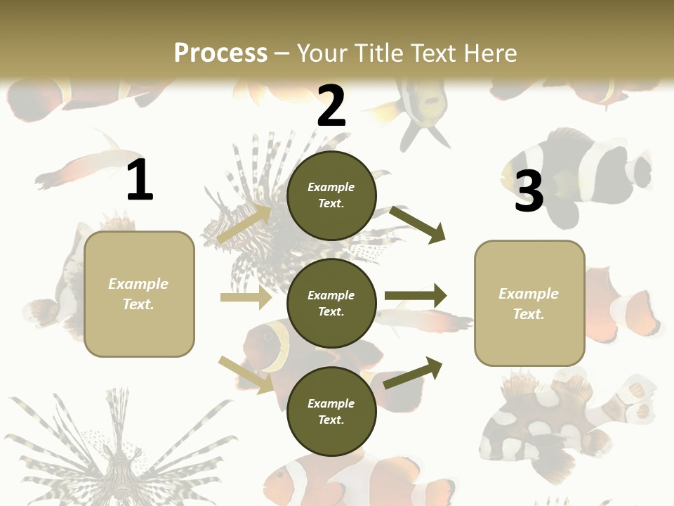 Studio Aquatic Dive PowerPoint Template