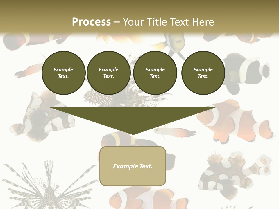 Studio Aquatic Dive PowerPoint Template