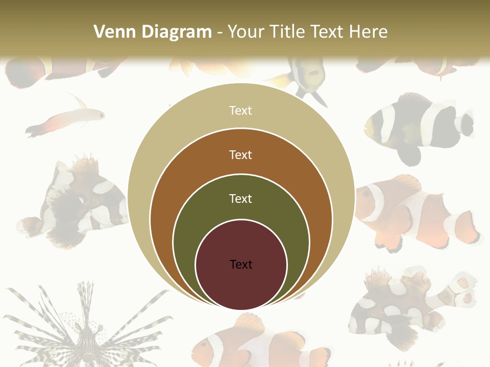 Studio Aquatic Dive PowerPoint Template