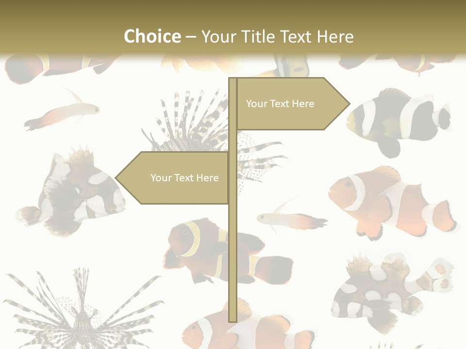 Studio Aquatic Dive PowerPoint Template