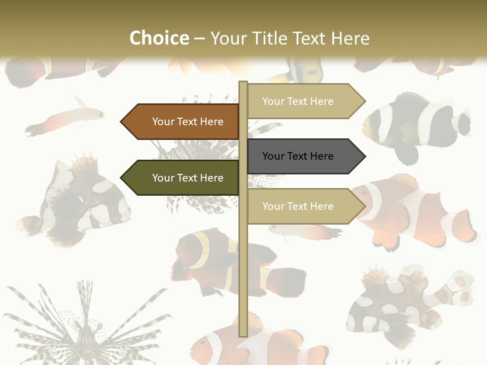 Studio Aquatic Dive PowerPoint Template