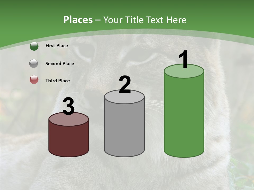 Look Head Feline PowerPoint Template