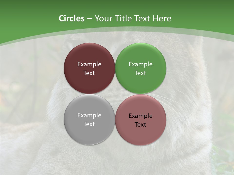 Look Head Feline PowerPoint Template