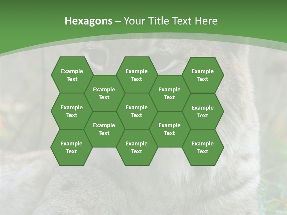 Look Head Feline PowerPoint Template