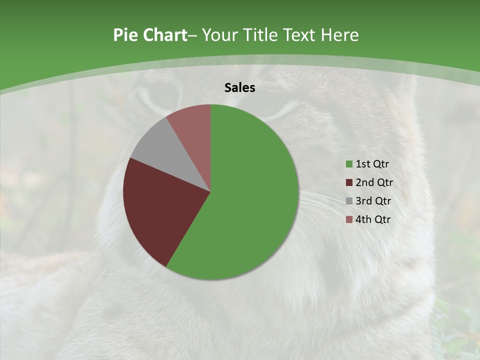 Look Head Feline PowerPoint Template