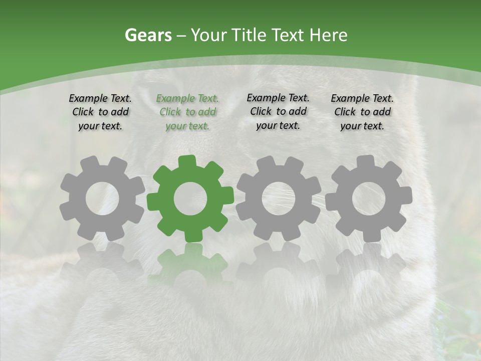 Look Head Feline PowerPoint Template