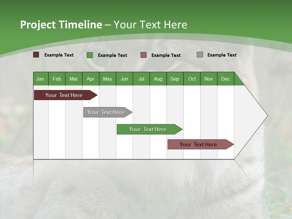 Look Head Feline PowerPoint Template