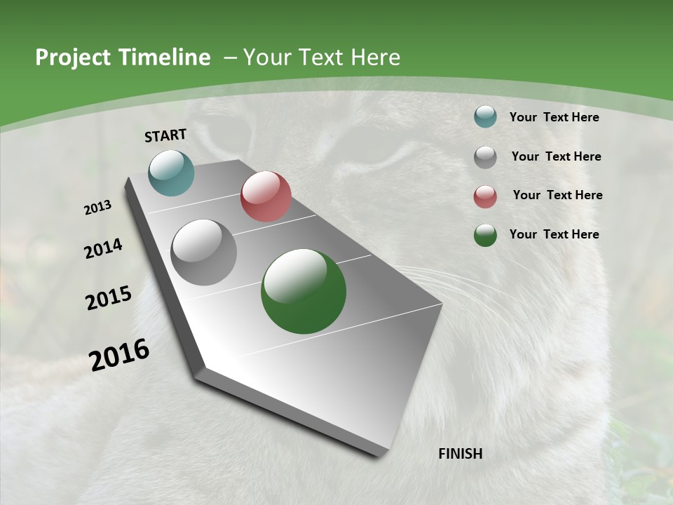 Look Head Feline PowerPoint Template