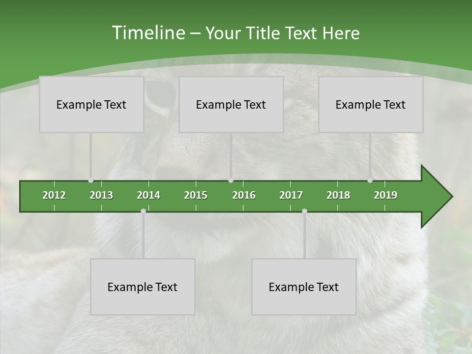 Look Head Feline PowerPoint Template