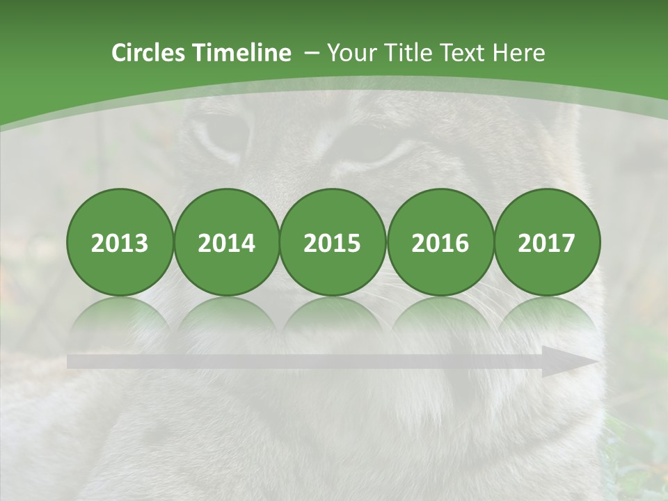 Look Head Feline PowerPoint Template