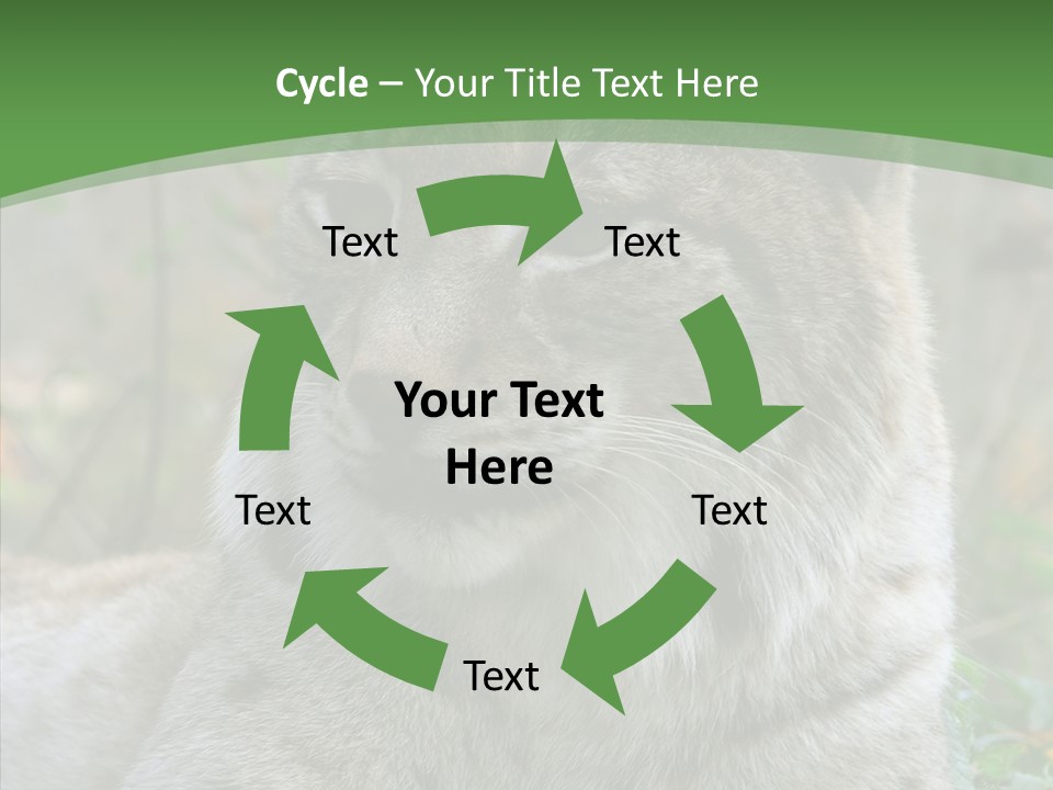 Look Head Feline PowerPoint Template