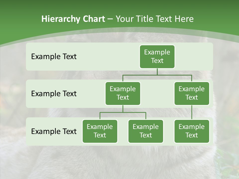Look Head Feline PowerPoint Template