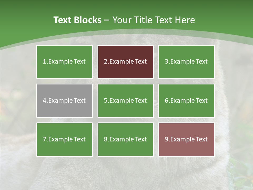 Look Head Feline PowerPoint Template