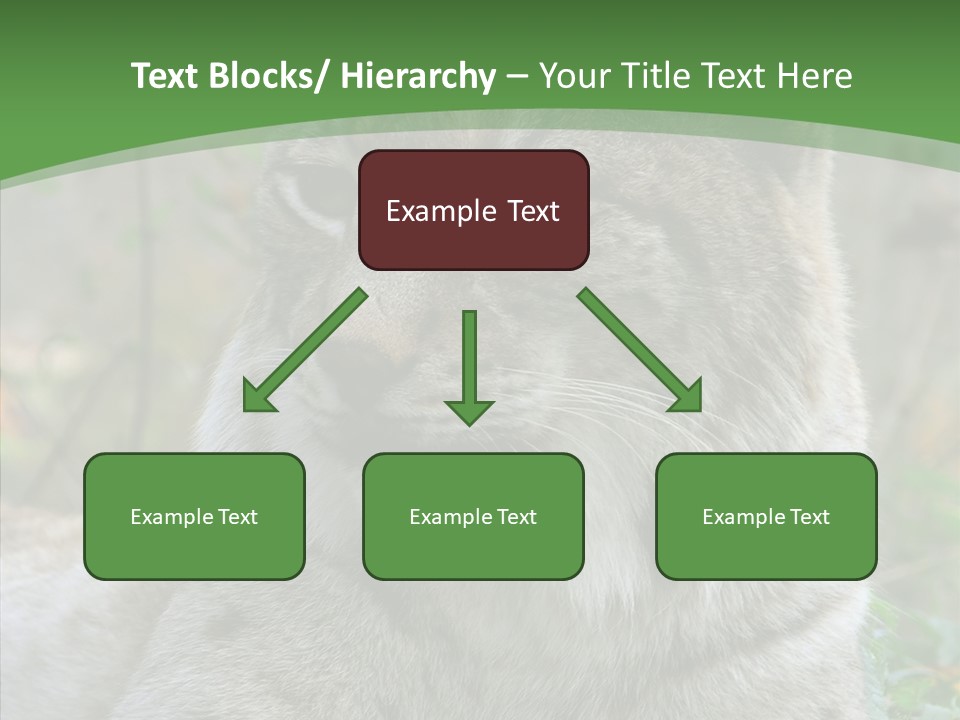 Look Head Feline PowerPoint Template