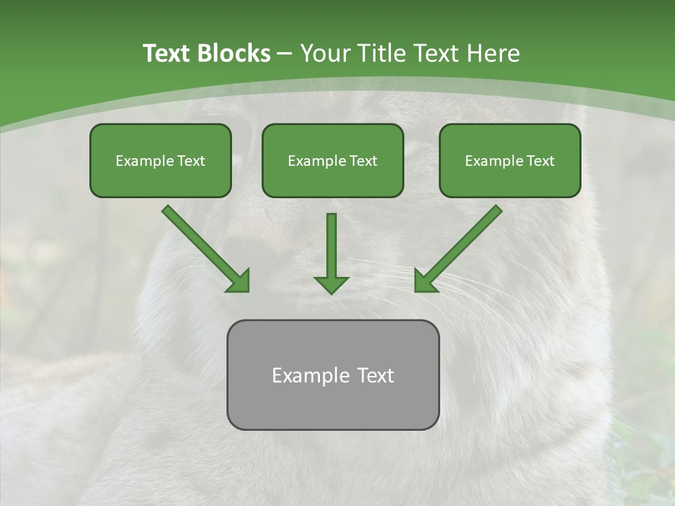 Look Head Feline PowerPoint Template