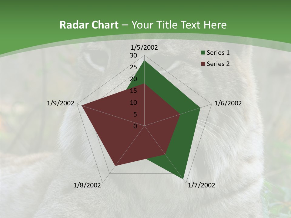 Look Head Feline PowerPoint Template