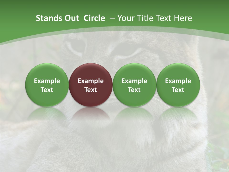 Look Head Feline PowerPoint Template
