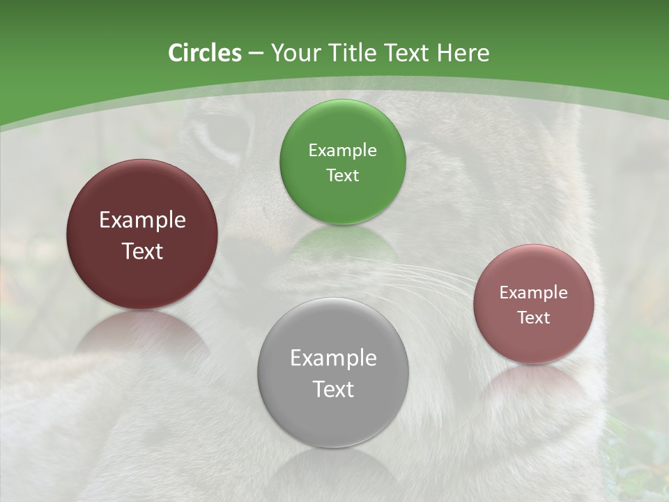 Look Head Feline PowerPoint Template