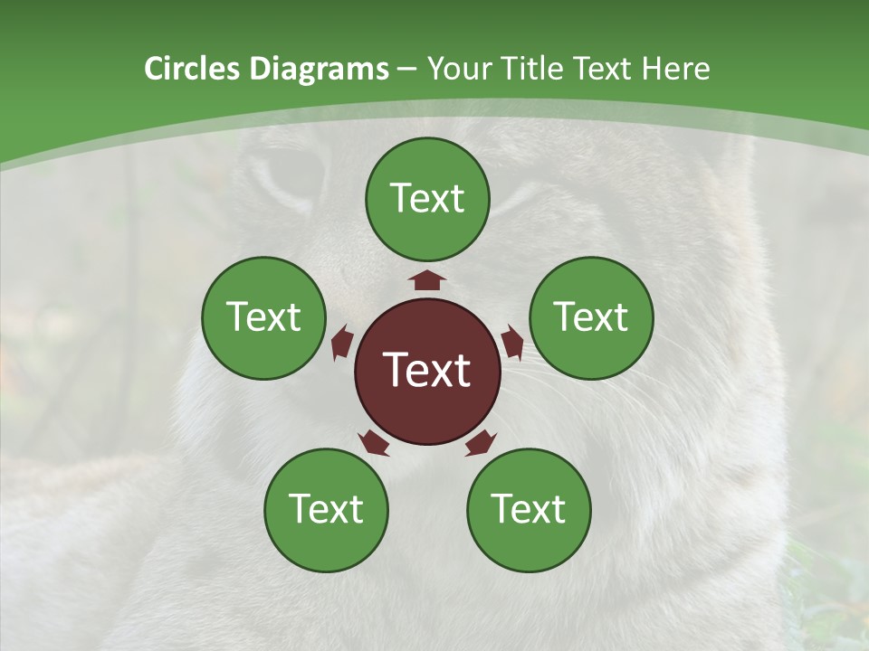 Look Head Feline PowerPoint Template