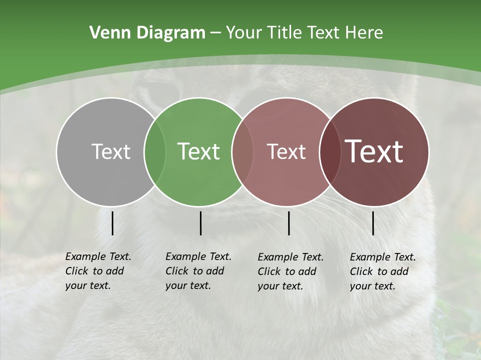 Look Head Feline PowerPoint Template