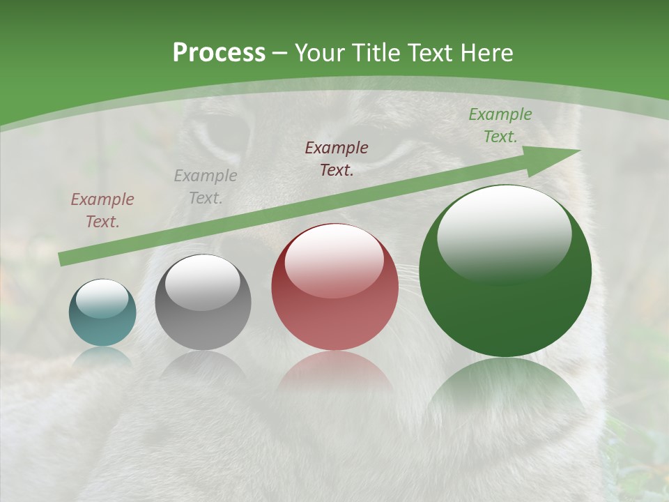 Look Head Feline PowerPoint Template