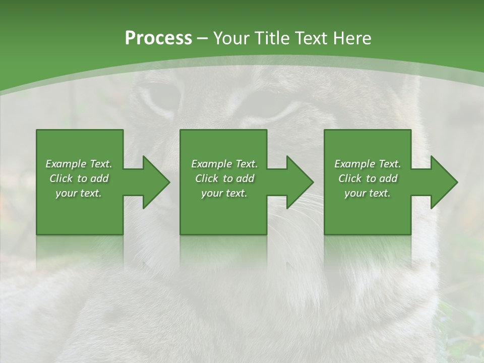 Look Head Feline PowerPoint Template