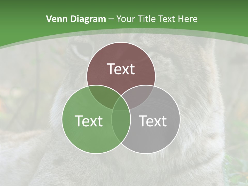 Look Head Feline PowerPoint Template