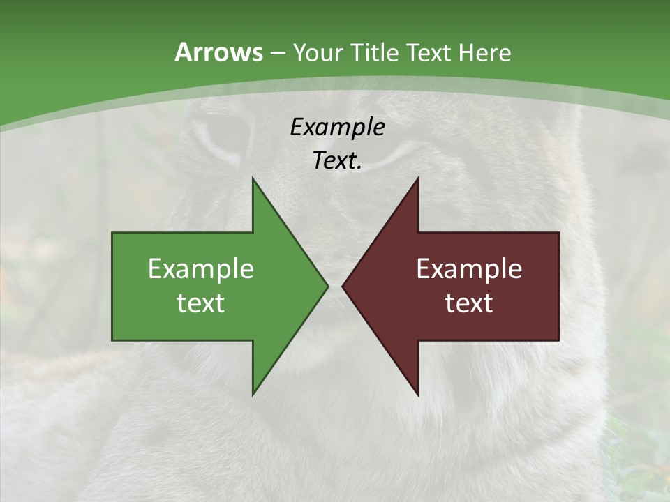 Look Head Feline PowerPoint Template